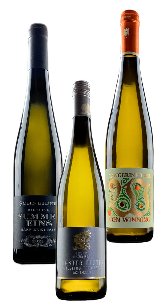 M202601HK - Riesling BASF Exklusiv Palatinate wine box (12 Bottles)